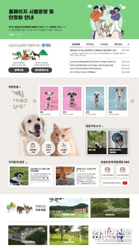 경기도동물보호복지플랫폼 갈무리. <사진=경기도>