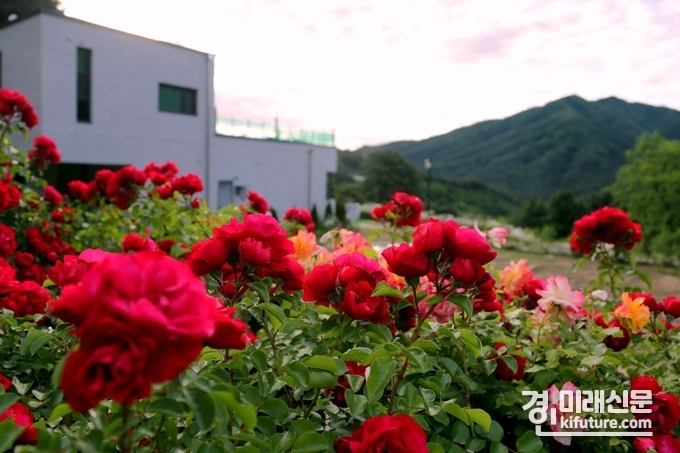 가평 '엘리의정원' 전경. <사진=경기도>