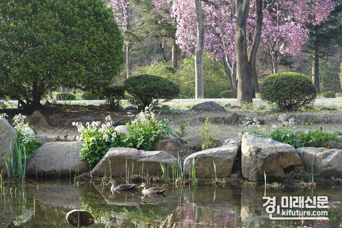 서울대 관악수목원 풍경. <사진=안양시>