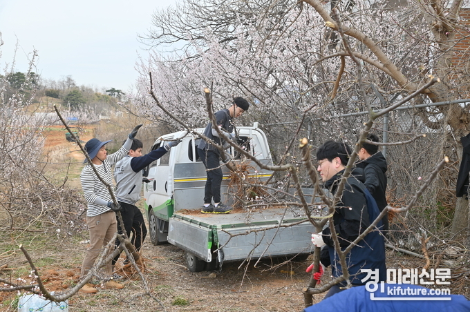 화성도시공사 임직원과 지역주민들이 화성드림파크 리틀야구장 산책로에 매화나무를 식재하고 있다. <사진=화성도시공사>