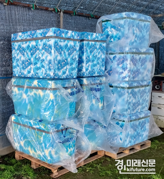 경기도농수산진흥원 신선유통 지원사업 사례. <사진=경기도농수산진흥원>