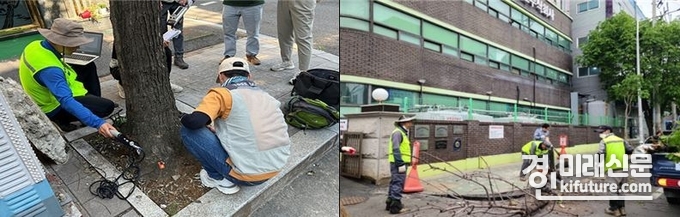 인천시 관계자들이 가로수를 정비하고 있다. <사진=인천시>