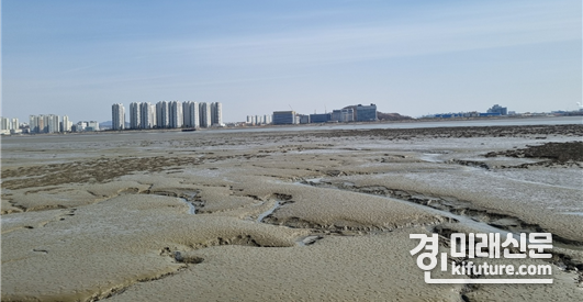 송도갯벌 전경. <사진=인천시>