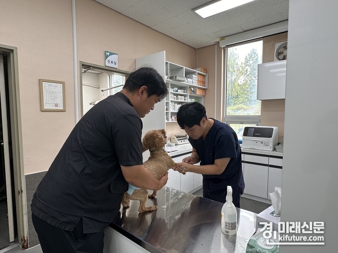 수의사가 반려동물을 진료하고 있다. <사진=경기도>