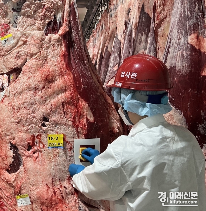 경기도 관계자가 축산물검사를 실시하고 있다. <사진=경기도>