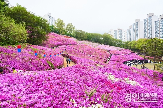 군포철쭉동산 전경. <사진=군포시>