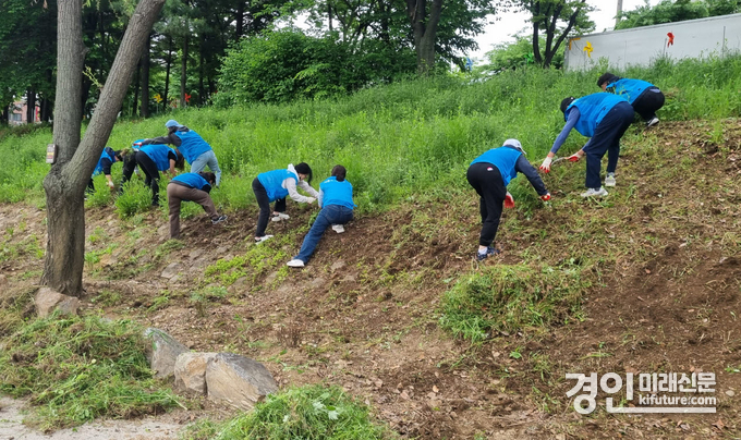 시흥도시공사 관계자들이 시흥천변 환경정화활동을 실시하고 있다. <사진=시흥도시공사>