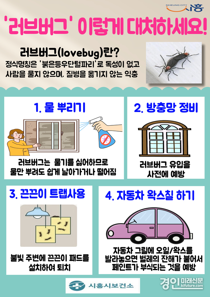 러브버그 대처법 안내문. <사진=시흥시>