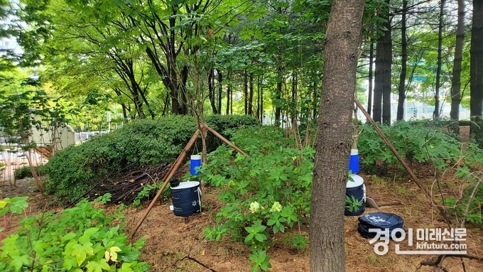 수원시가 트랩을 이용해 모기를 채집하고 있다. <사진=수원시> 