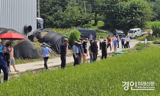 여주시가 2024년 벼농사 기술보급 시범사업 현장 평가회를 갖고 있다. <사진=여주시>