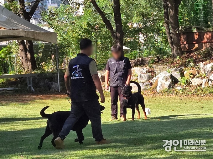 경기도 관계자들이 맹견 기질평가를 실시하고 있다. <사진=경기도>