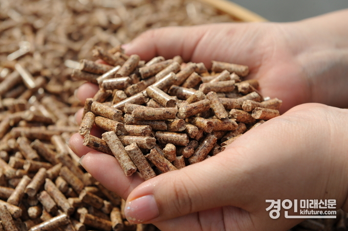 목재펠릿 모습. <사진=안성시>