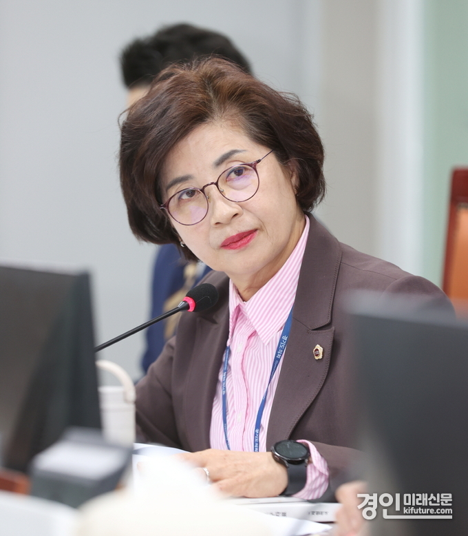 김미숙 경기도의원. <사진=경기도의회>