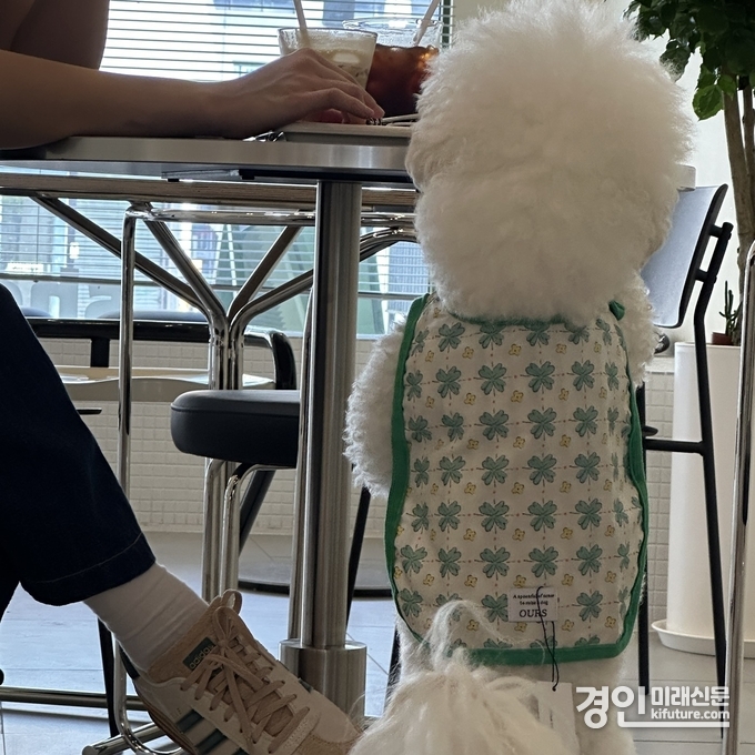 반려동물 동반출입 음식점 모습. <사진=경기도>