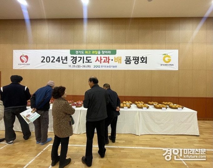 경기도 사과·배 품평회에서 심사위원들이 사과·배 품평을 하고 있다 .<사진=여주시>