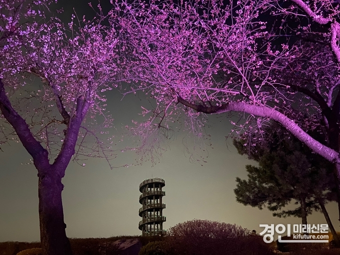 갯골생태공원 벚꽃터널 전경. <사진=시흥도시공사>