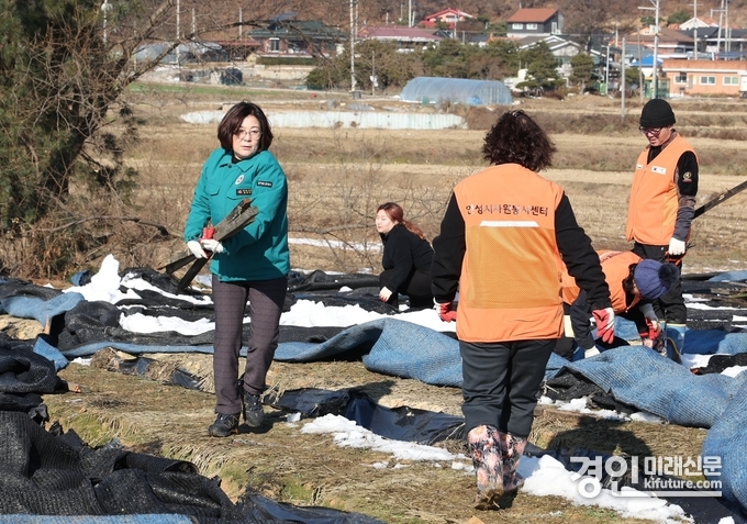 김보라 안성시장(왼쪽)이 자원봉사자들과 함께 폭설 피해 농가 피해복구를 돕고 있다. <사진=안성시>