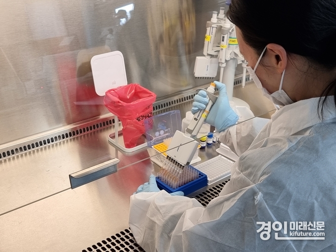경기도 관계자가 구제역 백신 항체검사를 실시하고 있다. <사진=경기도>