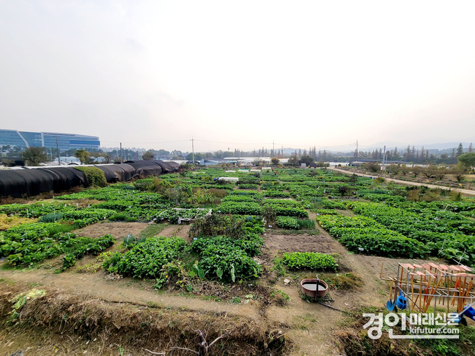 성남시 성남시민농원 모습. <사진=성남시>