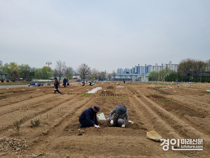 분양 예정인 도시 텃밭 전경. <사진=부천시>