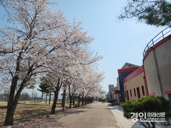 금은모래캠핑장 모습. <사진=여주도시공사>