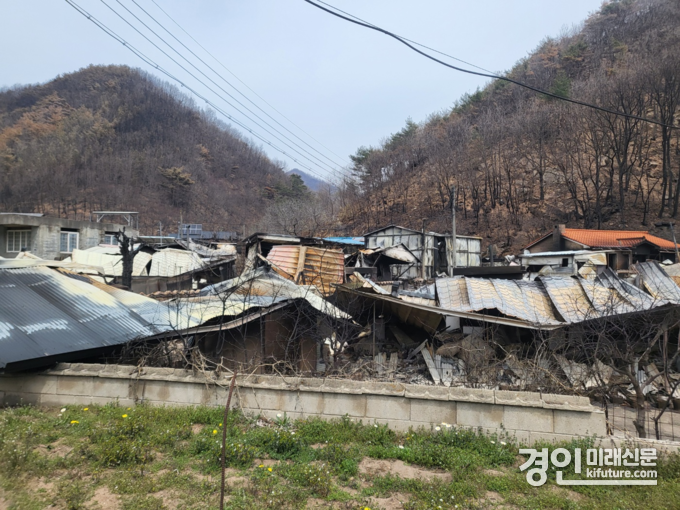 영덕군 산불피해 현장 모습. <사진=양평군>