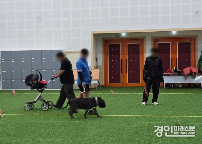 맹견 기질평가 모습. <사진=경기도>