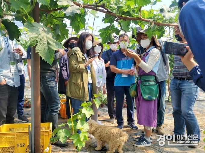 경기도가 신규농업인을 대생으로 기초 영농 교육을 싱시하고 있다. <사진=경기도>