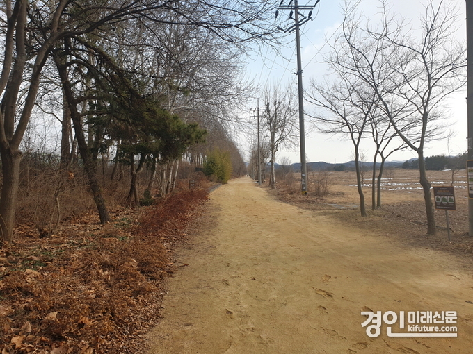 안산갈대습지 전경. <사진=안산시>