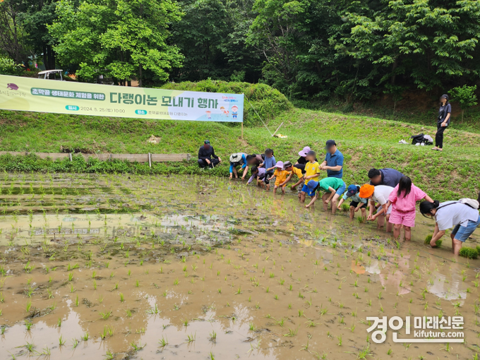 군포시가 다랭이논 모내기 체험 행사를 진행하고 있다. <사진=군포시>
