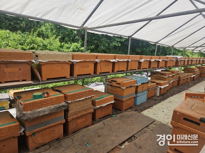 양봉농가 모습. <사진=용인시>