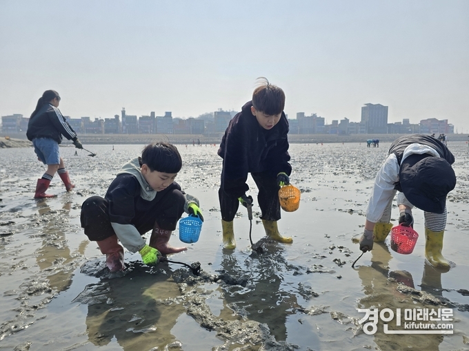 아이들이 갯벌에서 조개 캐기 체험을 하고 있다. <사진=시흥시>