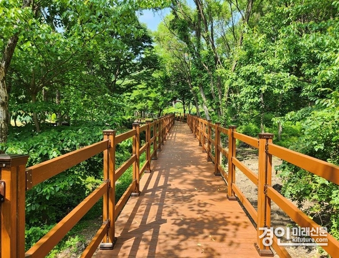용인자연휴양림 숲속쉼터 무장애 산책로 모습. <사진=용인시>