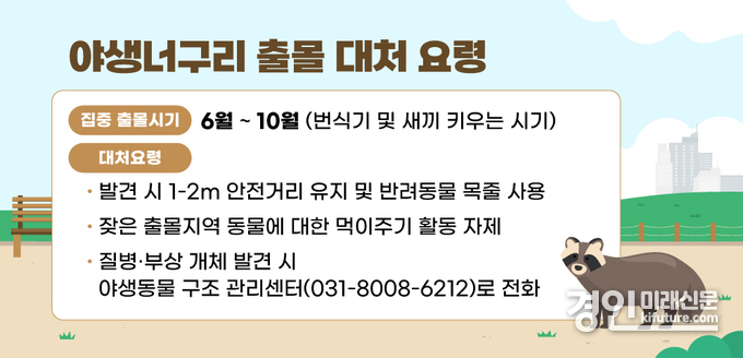 야생너구리 출몰 대처 요령 안내문. <사진=안양시>