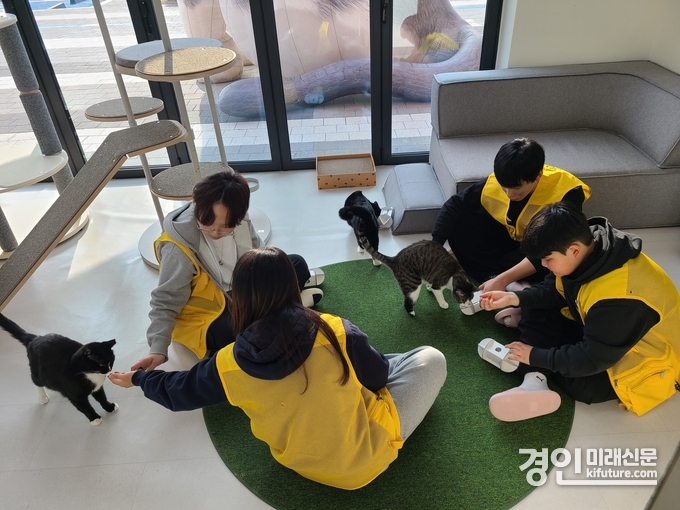 청소년들이 봉사활동을 실시학고 있다. <사진=경기도>