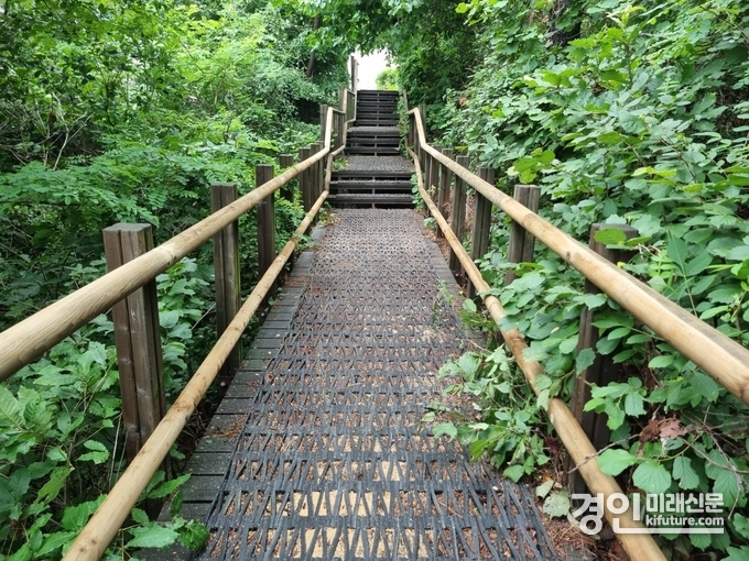 인천 남동구가 만월산 등산로를 정비한 모습. <사진=남동구>