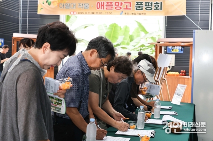 용인시가 11일 농업기술센터 내 아열대작물 과학영농시설에서 애플망고 품평회를 열고 있다. <사진=용인시>
