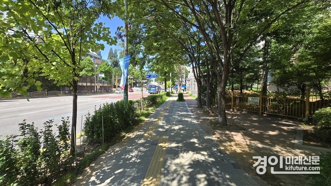 인천 남동구 구월로 가로수 터널 모습. <사진=남동구>