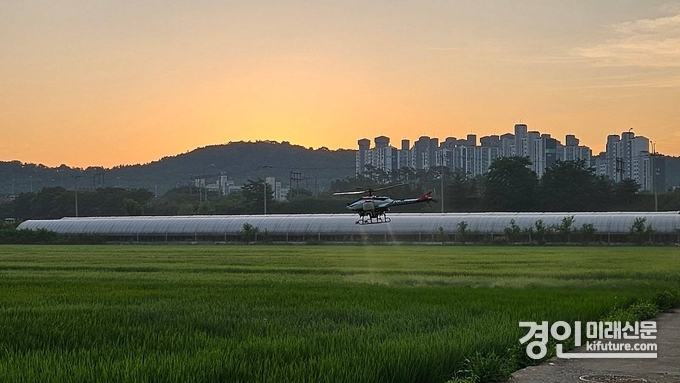 시흥시가 병해충 항공방제를 실시하고 있다. <사진=시흥시>