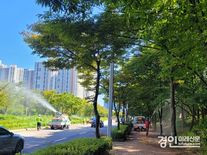 인천 연수구가 미국흰불나방 확산 방지 위해 공원·녹지 일대 집중 방제를 실시하고 있다. <사진=연수구>