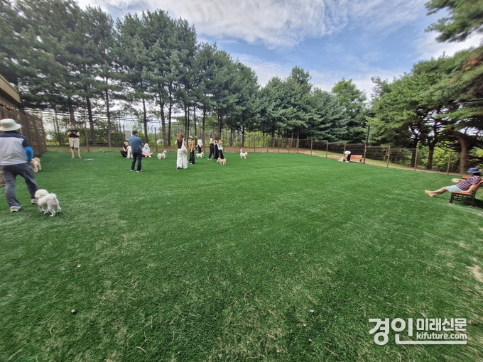 시민들이 정발산 반려견 놀이터에서 즐거운 시간을 보내고 있다. <사진=고양시>