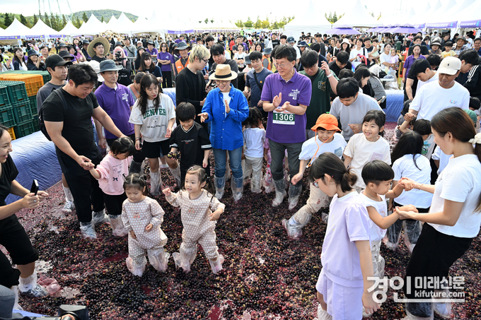 관광객들이 안산 대부포도축제에서 포도 밟기에 참여하고 있다. <사진=안산시>