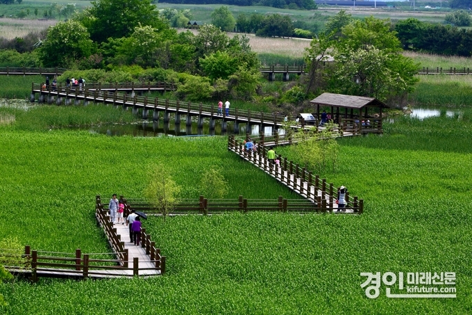 안산갈대습지 전경. <사진=안산시>