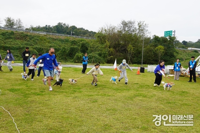 경기도가 '반려마루화성 홈커밍데이'를 열고 있다. <사진=경기도>