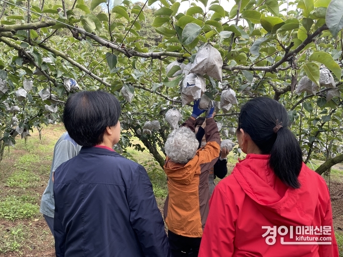 인천 남동구 치매안심센터가 가을 야유회 ‘달콤한 기억 담기’를 진행하고 있다. <사진=남동구>