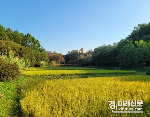 인천대공원, 7일 가을걷이 한마당 개최지 모습. <사진=이천시>
