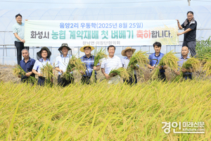 화성시, 정남면에서 올해 첫 벼 수확… ‘한눈에 반한 쌀’ 본격 출하