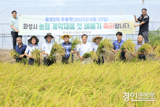 화성시, 정남면에서 올해 첫 벼 수확… ‘한눈에 반한 쌀’ 본격 출하