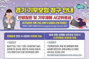경기도, 빙판길 '꽈당' 다치면 기후보험 신청
