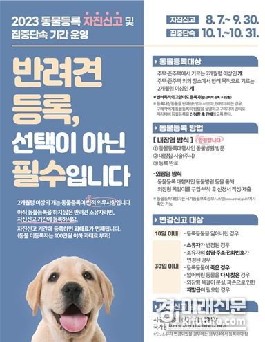 동물등록 자진신고 홍보물. <사진=인천시>